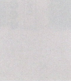 ４４０－００１－１１１　アクレーヌ１５ｇ　１１１