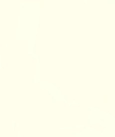 ４４０－００１－１１３　アクレーヌ１５ｇ　１１３