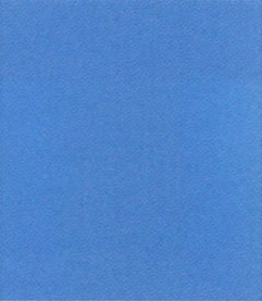 ４４０－００１－１１９　アクレーヌ１５ｇ　１１９