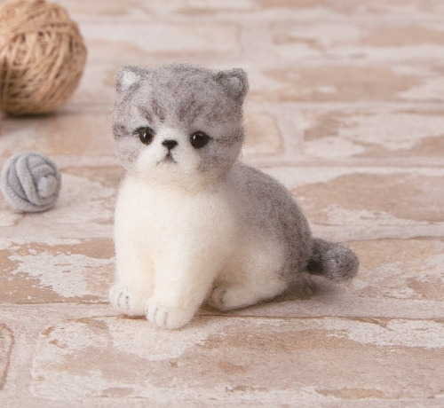 ４４１－６０８　エキゾチックショートヘア