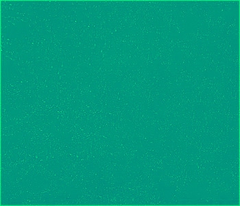 ４４０－００１－３０６　アクレーヌネオンカラー　３０６