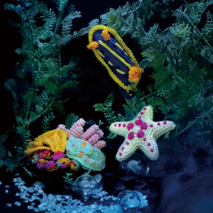 ＥＧ－１３２　アオウミウシと海底散歩　初級者向け