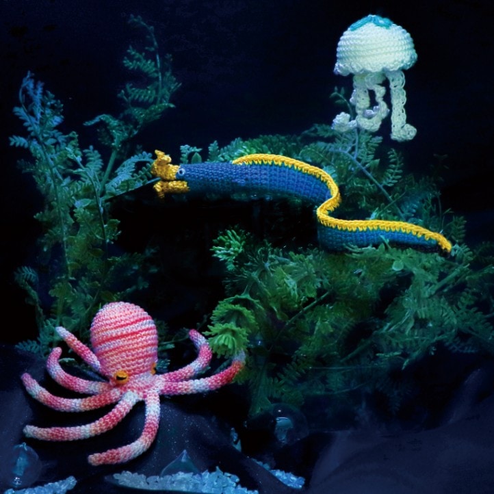 ＥＧ－１３４　ハナヒゲウツボとポイズンな仲間　初級者向け