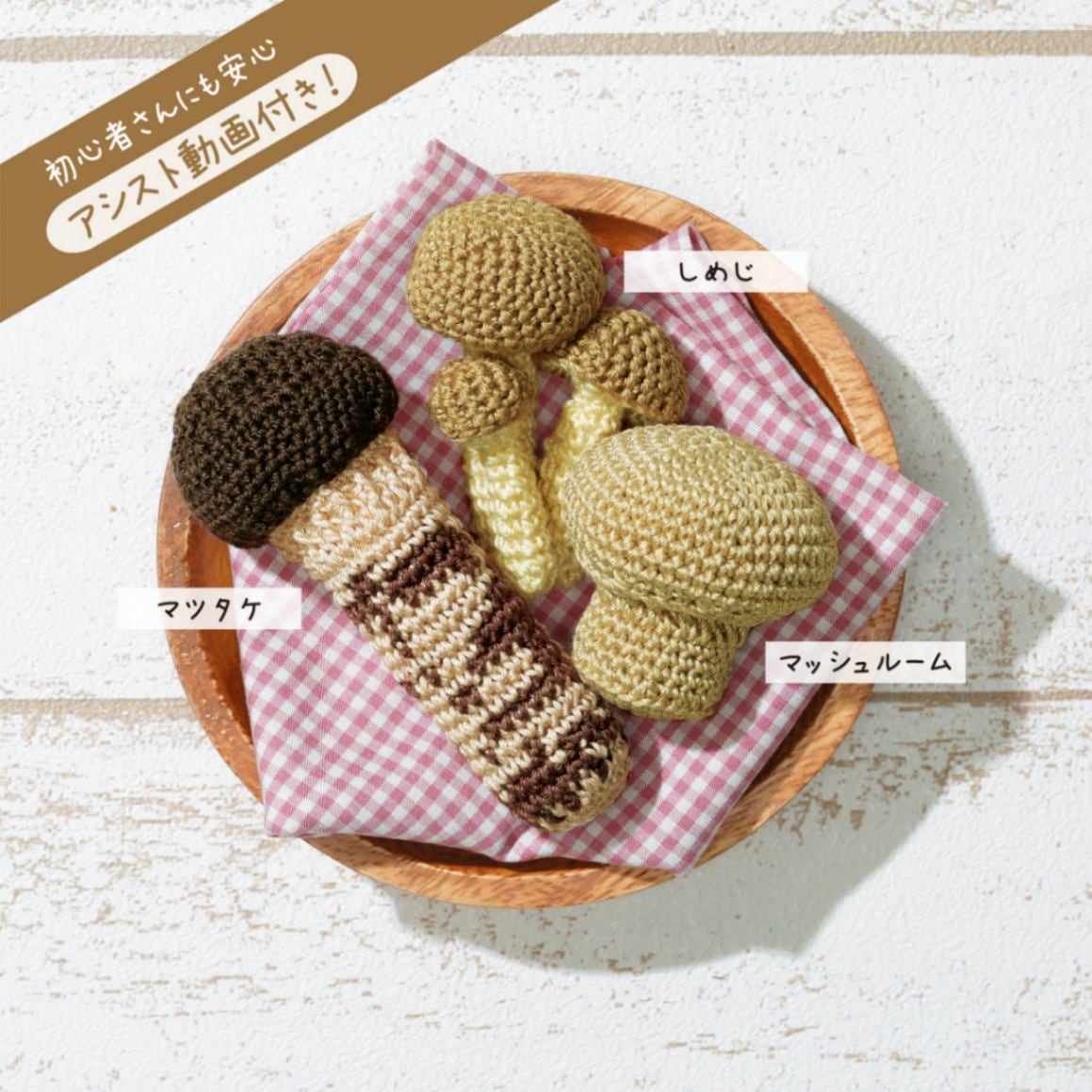 ＥＧ－１２６　３種のきのこ　初級者向け