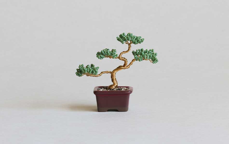 ネジッテBONSAI（松）HCA30//1