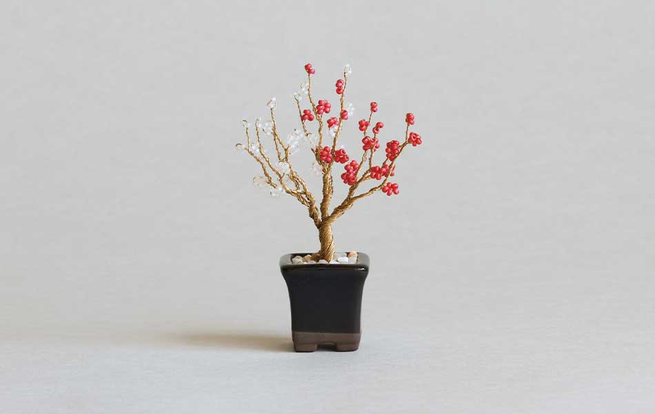 ネジッテBONSAI（梅）HCA30//2