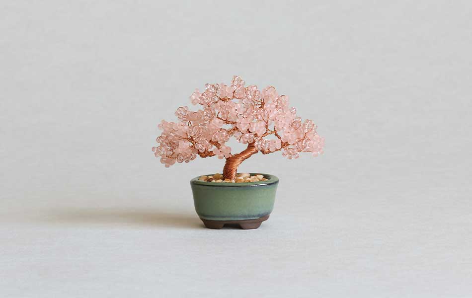 ネジッテBONSAI（桜）HCA30//3