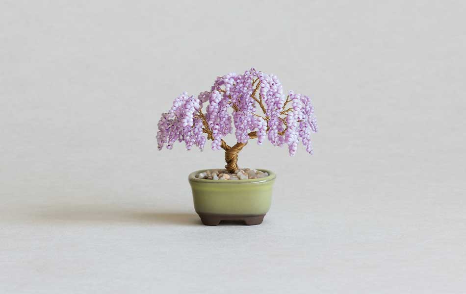 ネジッテBONSAI（藤）HCA30//4