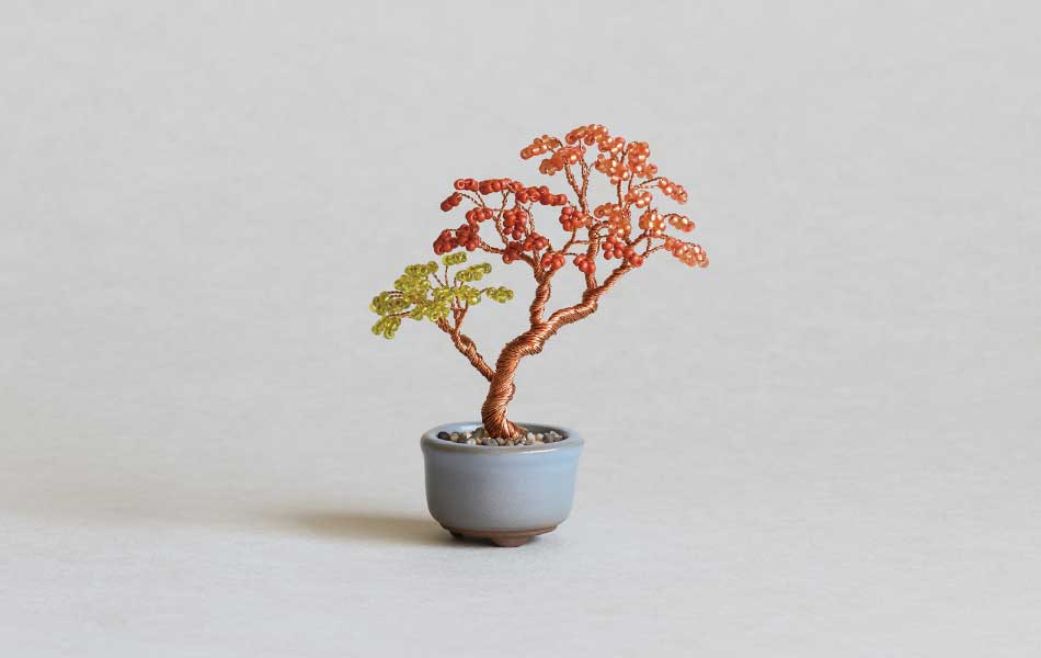 ネジッテBONSAI（紅葉）HCA30//5