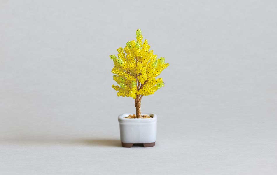 ネジッテBONSAI（銀杏）HCA30//6