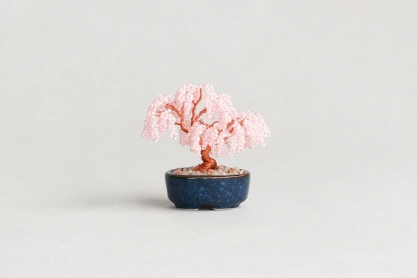 ネジッテBONSAI_2（枝垂桜）HCA30//9