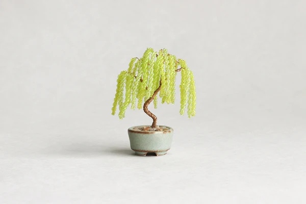 ネジッテBONSAI_2（柳）HCA30//10