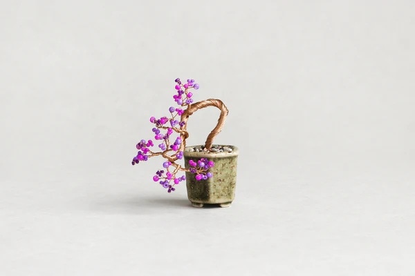 ネジッテBONSAI_2（紫式部）HCA30//11