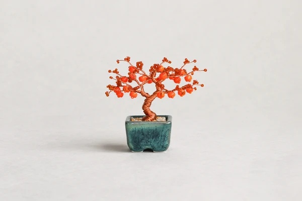 ネジッテBONSAI_2（柿）HCA30//12