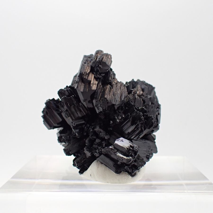ブラックトルマリン　ナミビア産　ファインミネラル ★★★★★鉱物 標本｜PARAGON