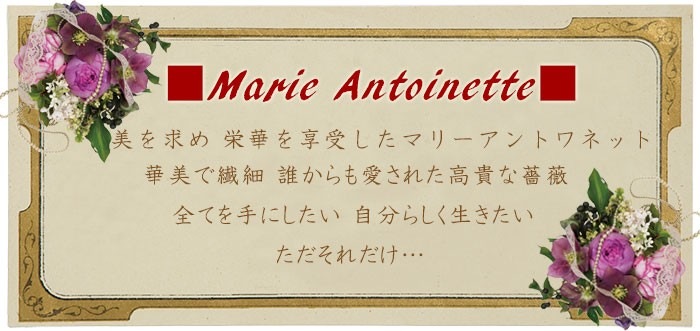 女を楽しむアクセサリー<br>ブレスレット パワーストーン レディース