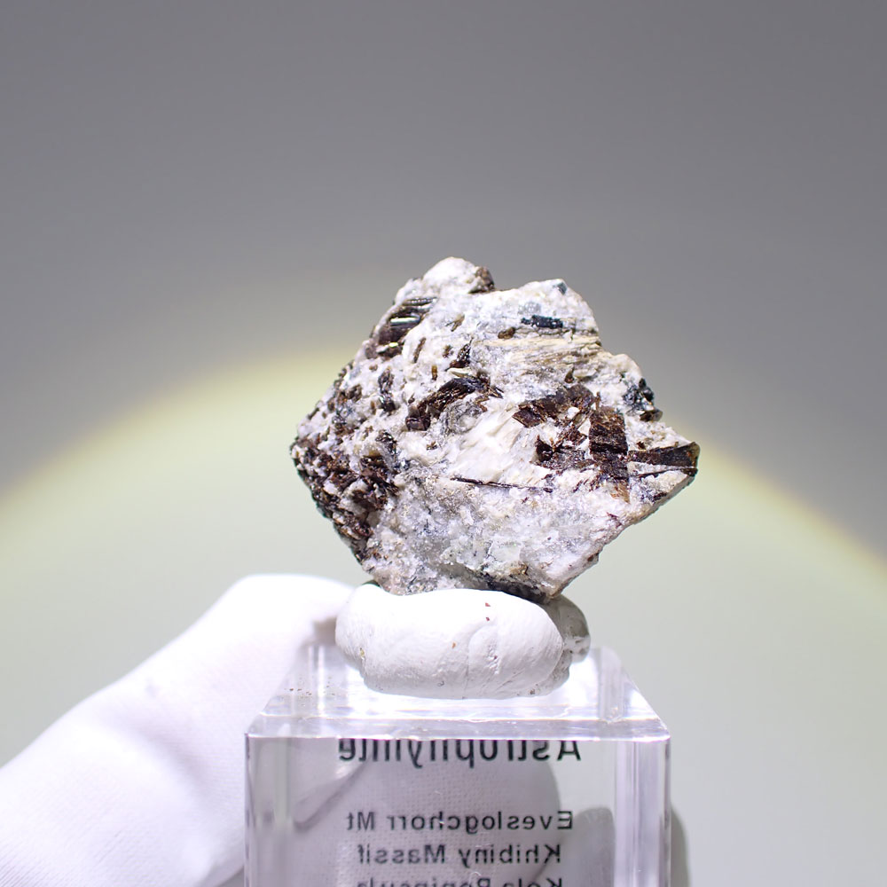 アストロフィライト　ロシア産　ファインミネラル ★★★ 鉱物 標本｜PARAGON