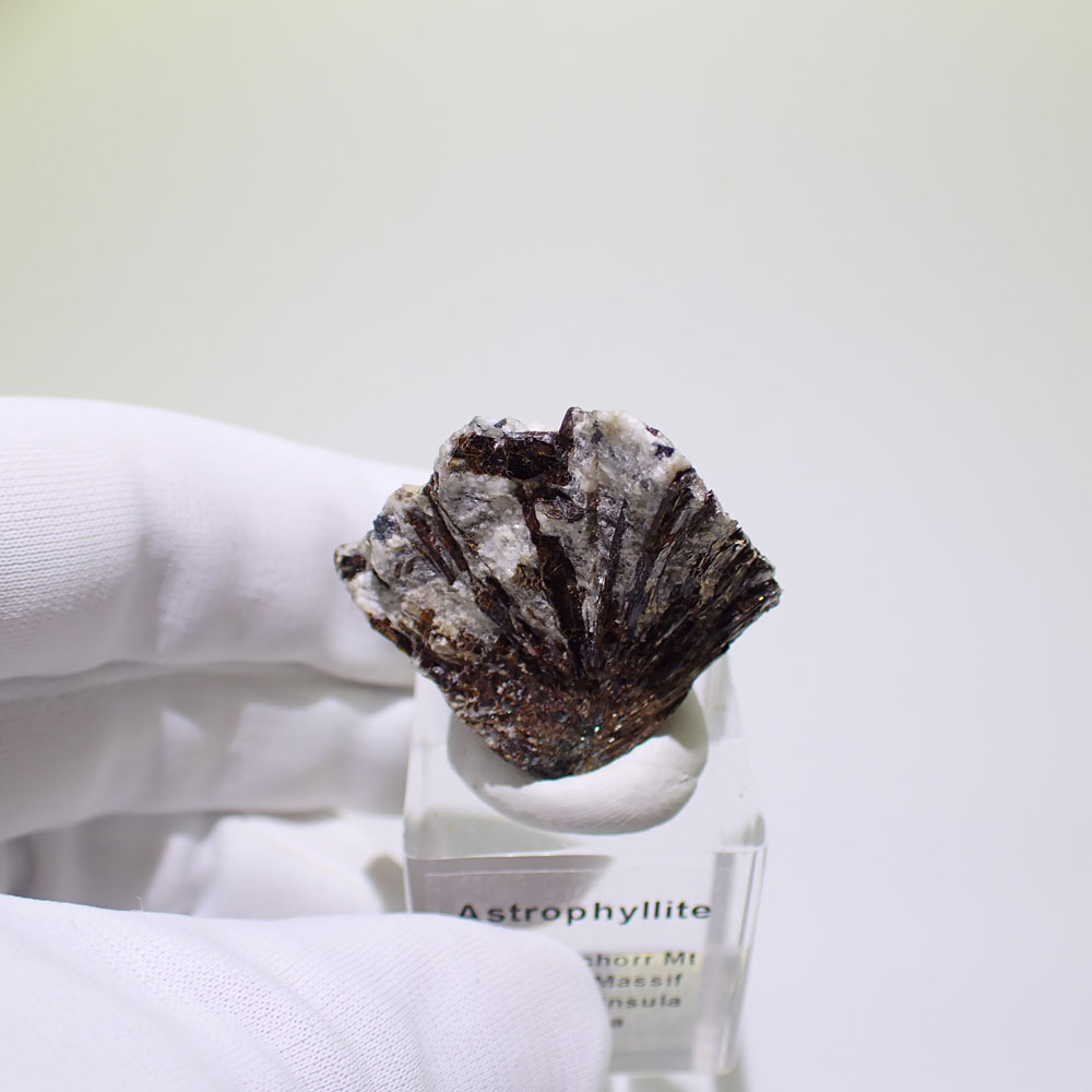 アストロフィライト　ロシア産　ファインミネラル ★★★ 鉱物 標本｜PARAGON