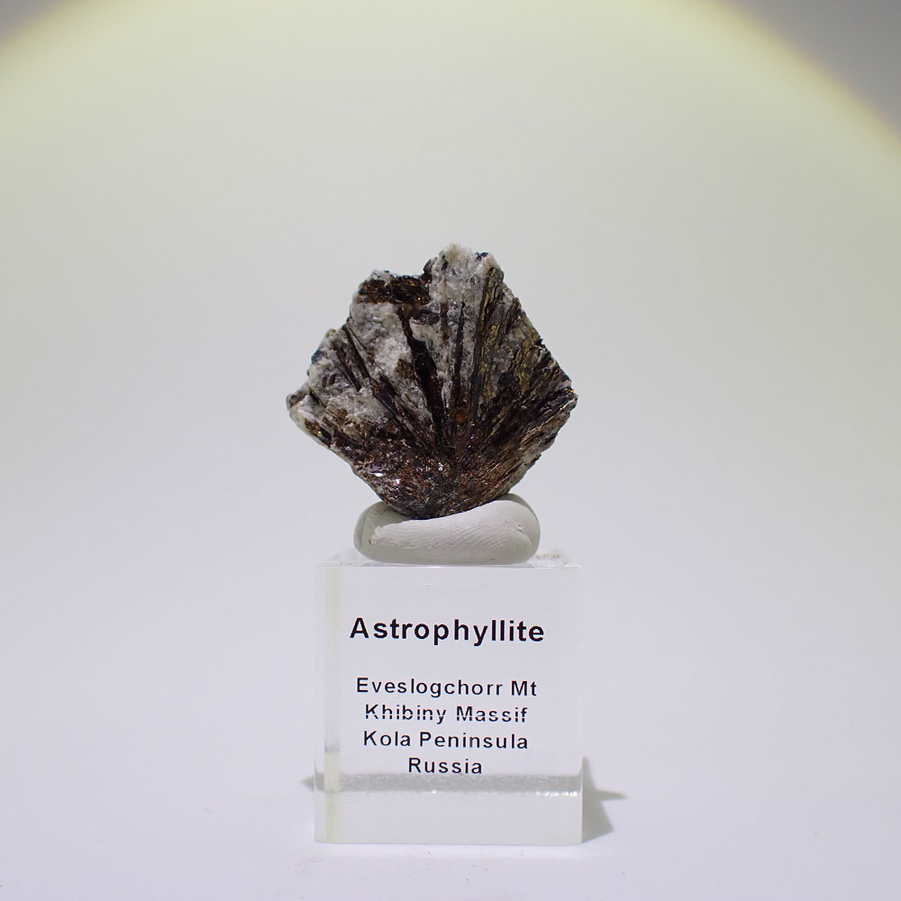 アストロフィライト　ロシア産　ファインミネラル ★★★ 鉱物 標本｜PARAGON