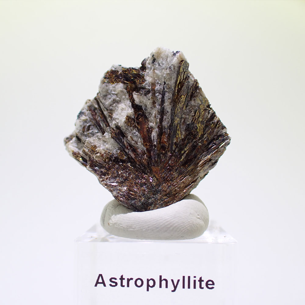 アストロフィライト　ロシア産　ファインミネラル ★★★ 鉱物 標本｜PARAGON