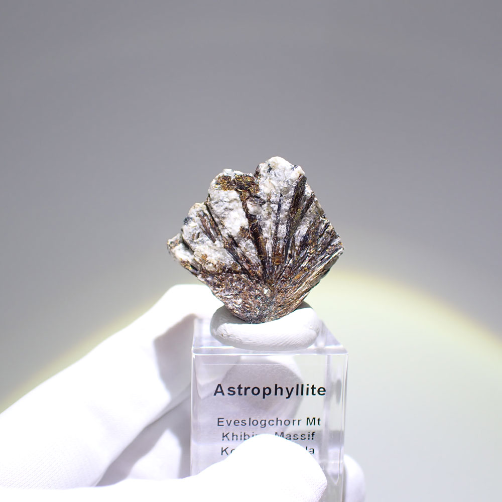 アストロフィライト　ロシア産　ファインミネラル ★★★ 鉱物 標本｜PARAGON