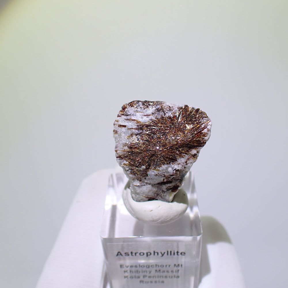 アストロフィライト　ロシア産　ファインミネラル ★★★ 鉱物 標本｜PARAGON