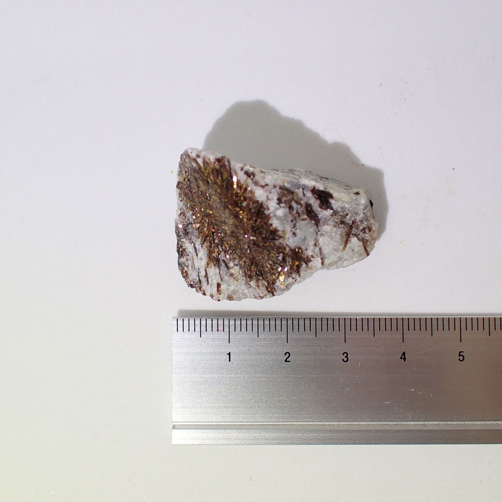 アストロフィライト　ロシア産　ファインミネラル ★★★ 鉱物 標本｜PARAGON