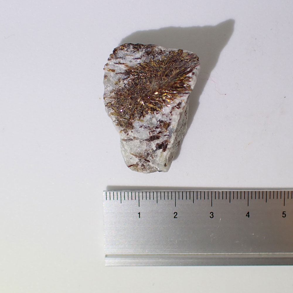 アストロフィライト　ロシア産　ファインミネラル ★★★ 鉱物 標本｜PARAGON