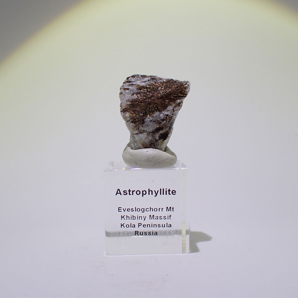アストロフィライト　ロシア産　ファインミネラル ★★★ 鉱物 標本｜PARAGON