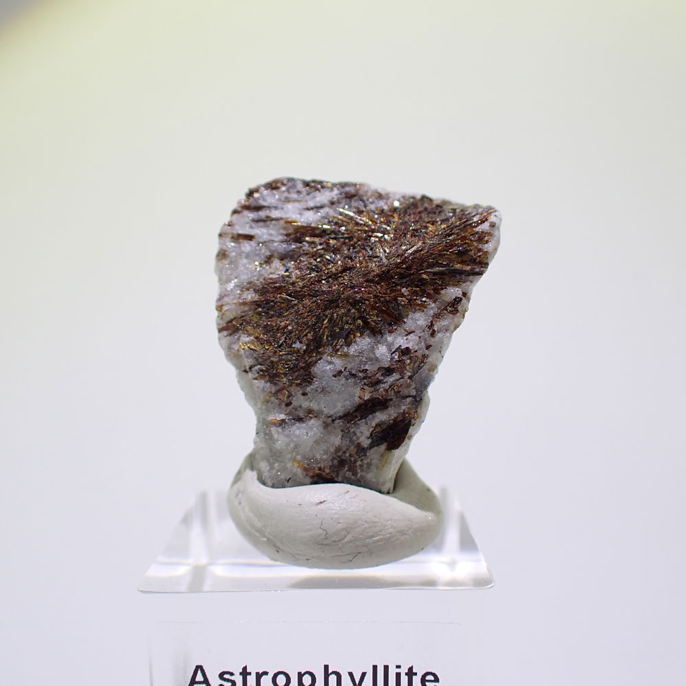 アストロフィライト　ロシア産　ファインミネラル ★★★ 鉱物 標本｜PARAGON