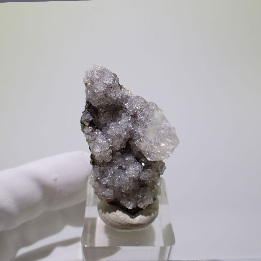 レッドベルベットカルサイト　メキシコ産　ファインミネラル ★★★ 鉱物 標本｜PARAGON