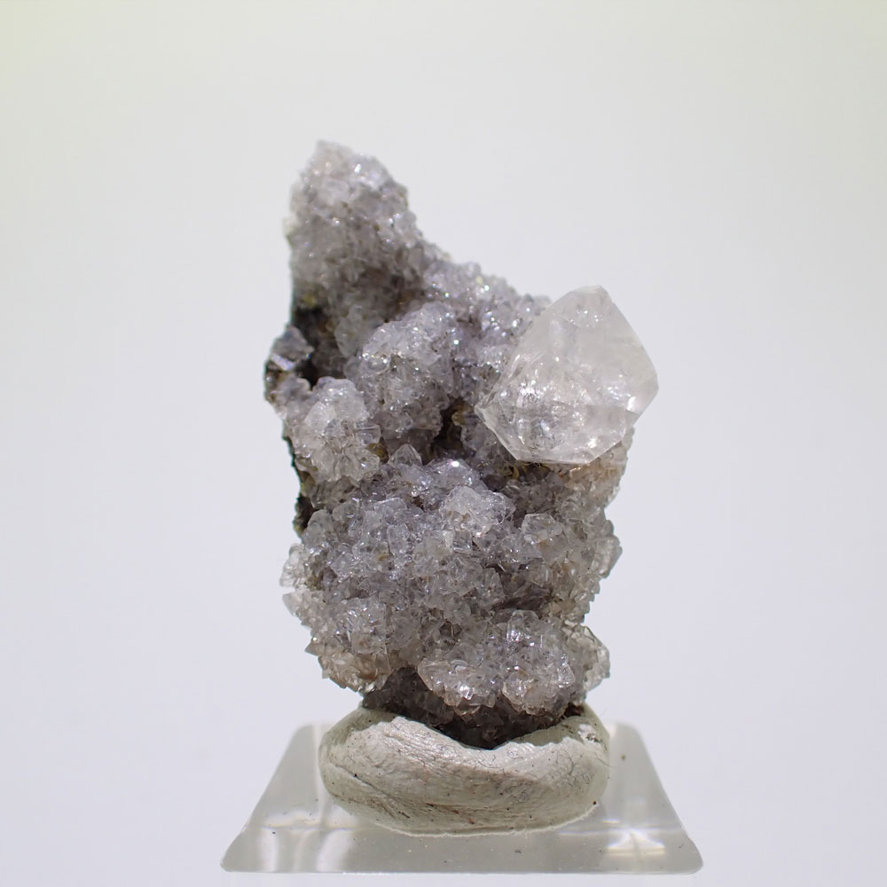 レッドベルベットカルサイト　メキシコ産　ファインミネラル ★★★ 鉱物 標本｜PARAGON