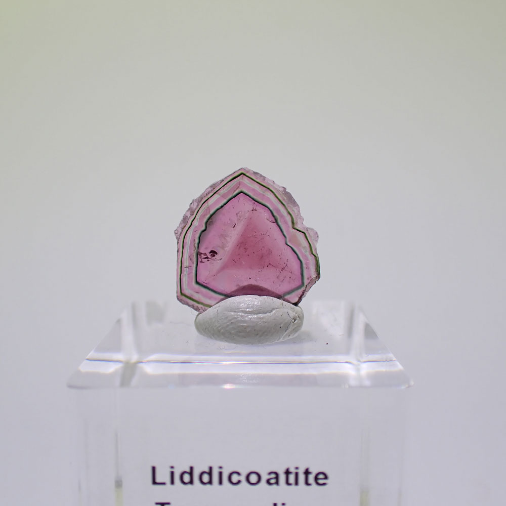 リディコータイトトルマリン　ピンク　マダガスカル産　ファインミネラル ★★★★★鉱物 標本｜PARAGON