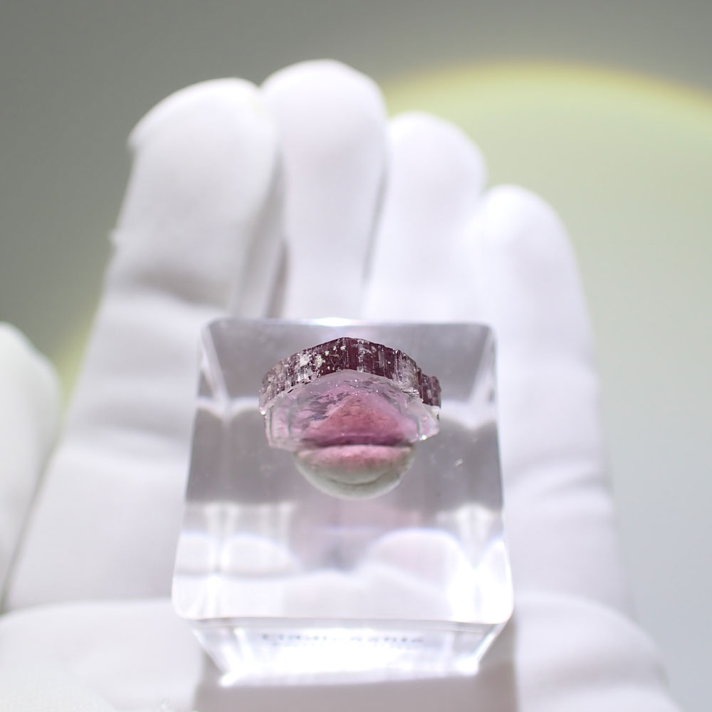 リディコータイトトルマリン　ピンク　マダガスカル産　ファインミネラル ★★★★★鉱物 標本｜PARAGON