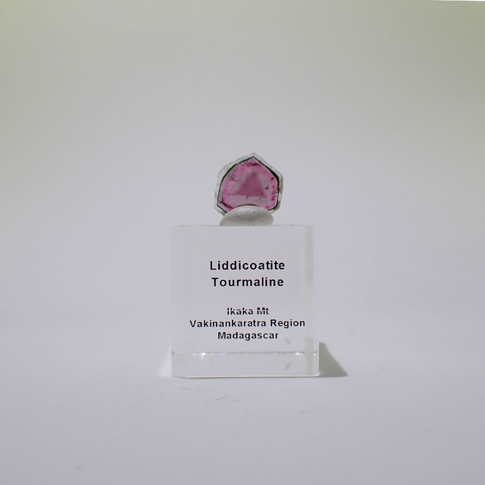 リディコータイトトルマリン　ピンク　マダガスカル産　ファインミネラル ★★★★★鉱物 標本｜PARAGON