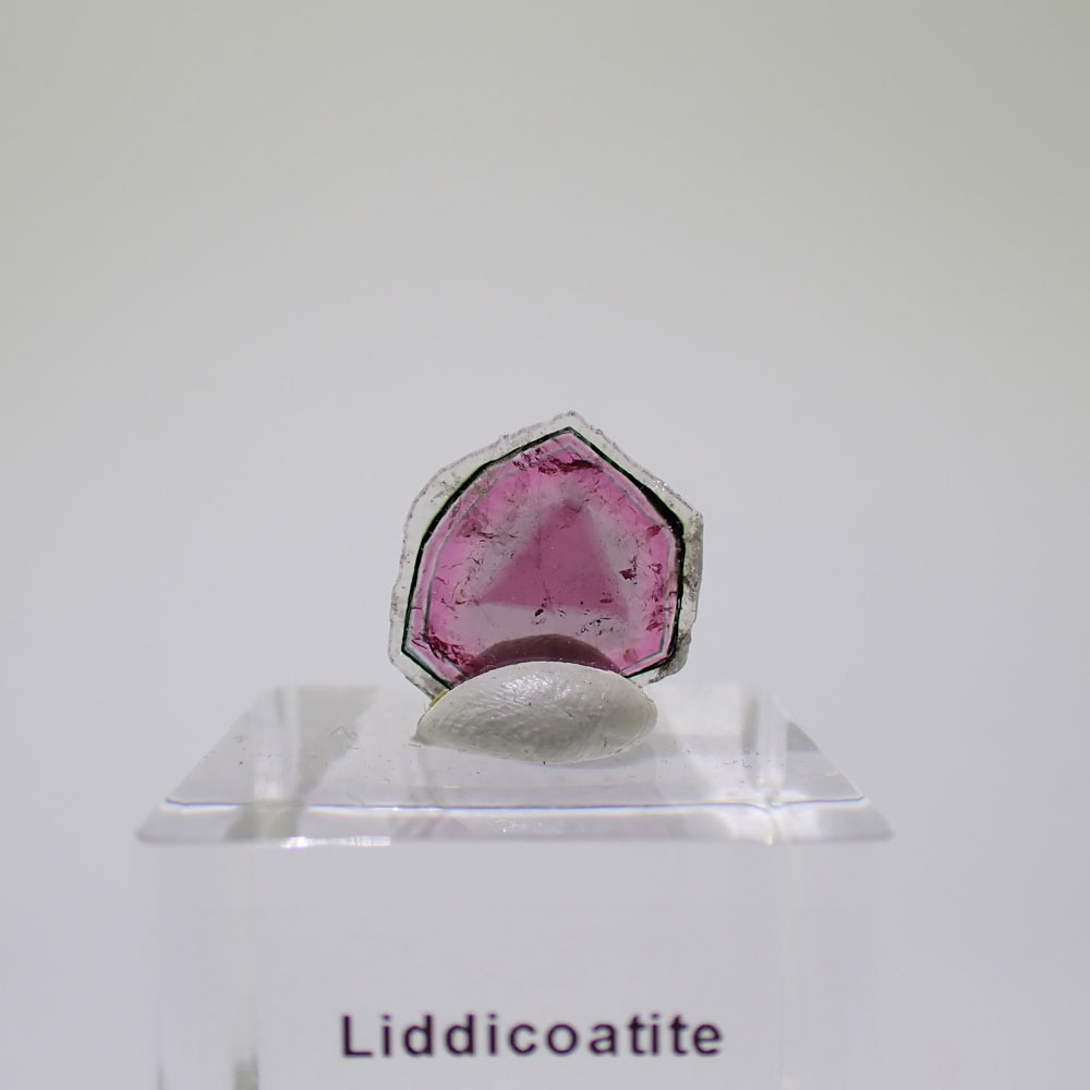 リディコータイトトルマリン　ピンク　マダガスカル産　ファインミネラル ★★★★★鉱物 標本｜PARAGON