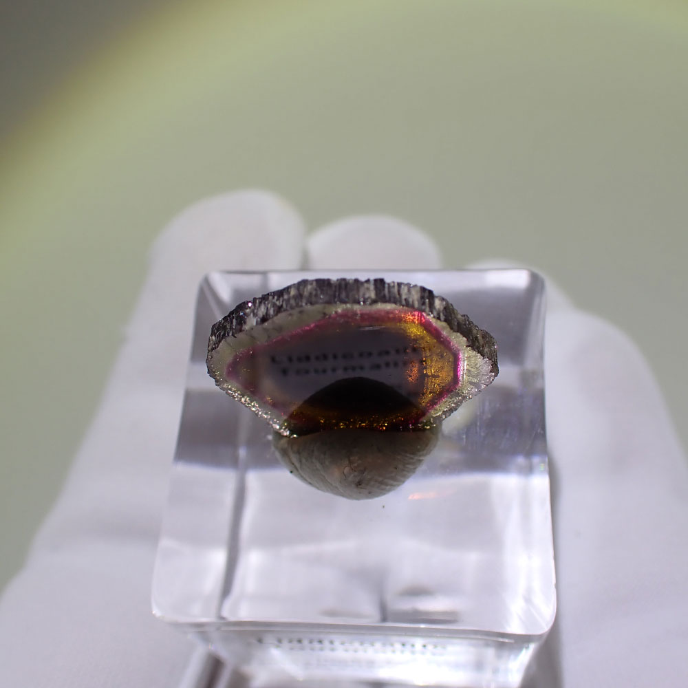 リディコータイトトルマリン　ピンクグリーン　マダガスカル産　ファインミネラル ★★★★★鉱物 標本｜PARAGON