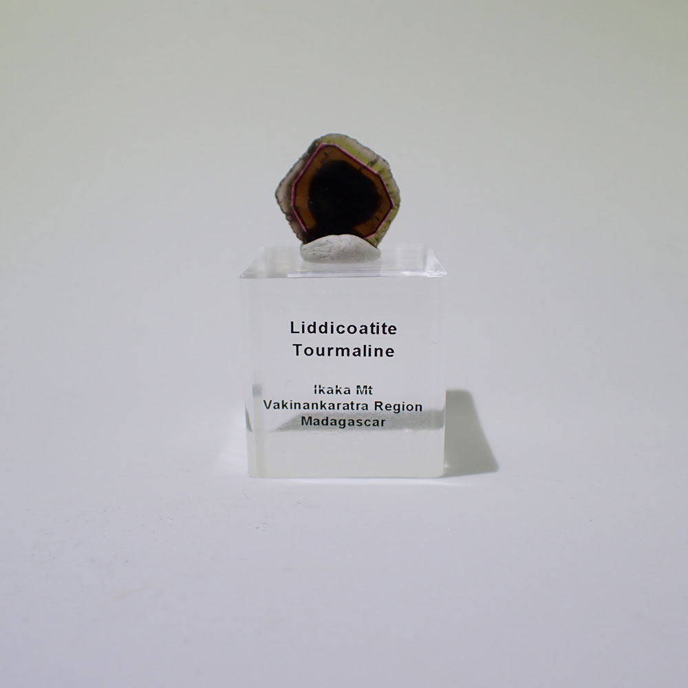 リディコータイトトルマリン　ピンクグリーン　マダガスカル産　ファインミネラル ★★★★★鉱物 標本｜PARAGON