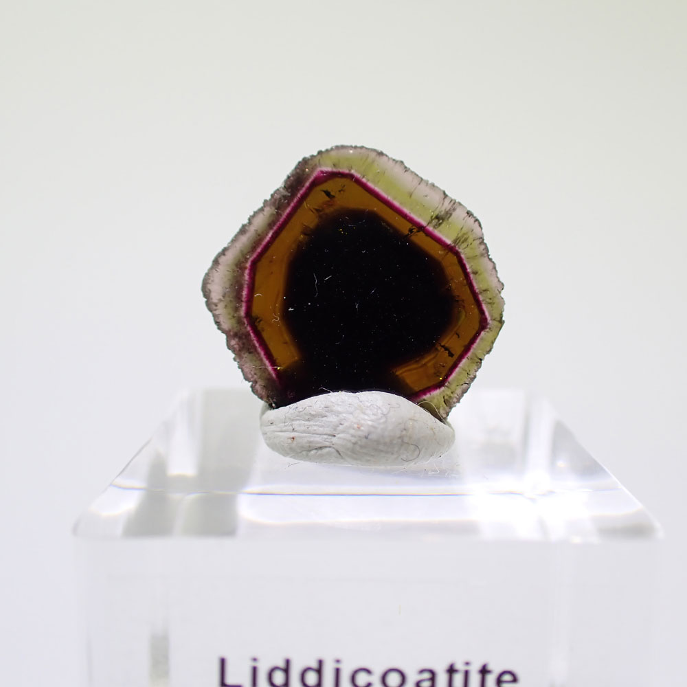 リディコータイトトルマリン　ピンクグリーン　マダガスカル産　ファインミネラル ★★★★★鉱物 標本｜PARAGON