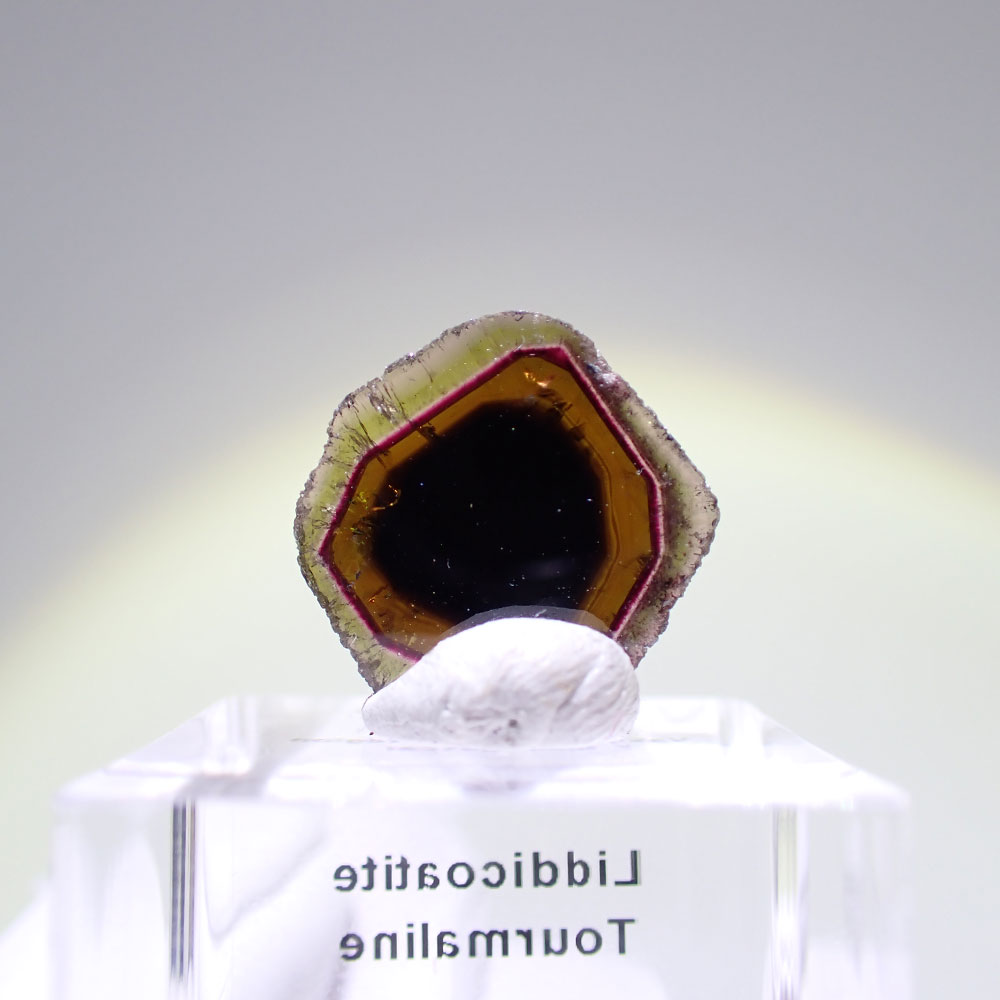 リディコータイトトルマリン　ピンクグリーン　マダガスカル産　ファインミネラル ★★★★★鉱物 標本｜PARAGON