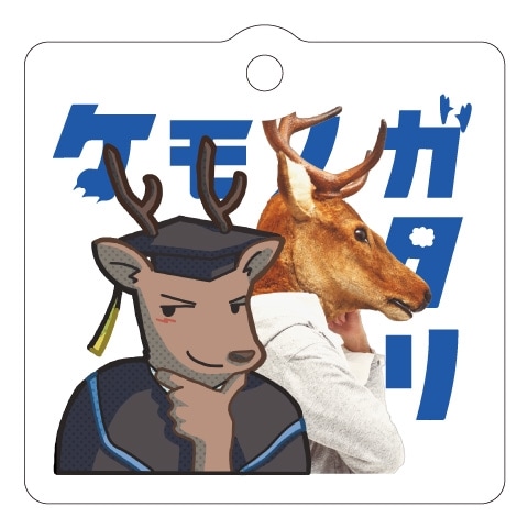 ����Υ����ꥭ���ۥ������˾���