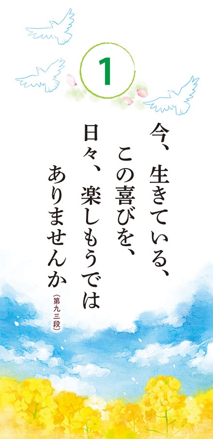 ���᤯�ꥫ���������������̤�������