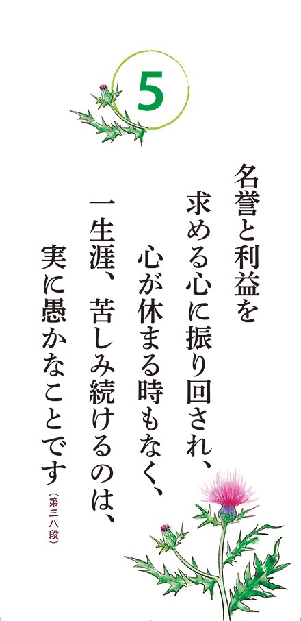 ���᤯�ꥫ���������������̤�������