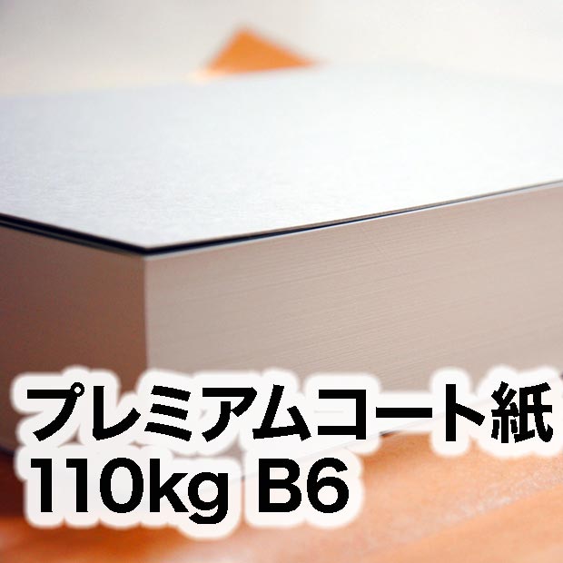 プレミアムコート紙・110kg　B6（128×182mm）
