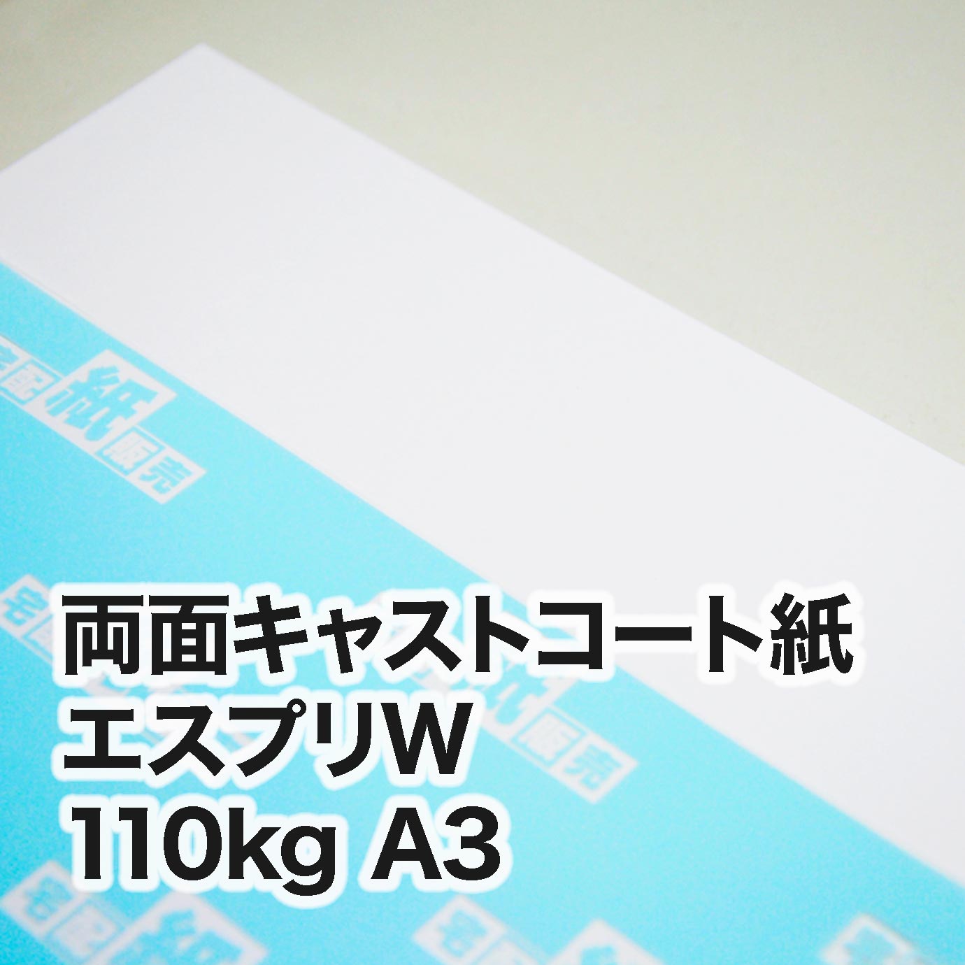両面キャストコート エスプリW・110kg　A3（297×420mm）