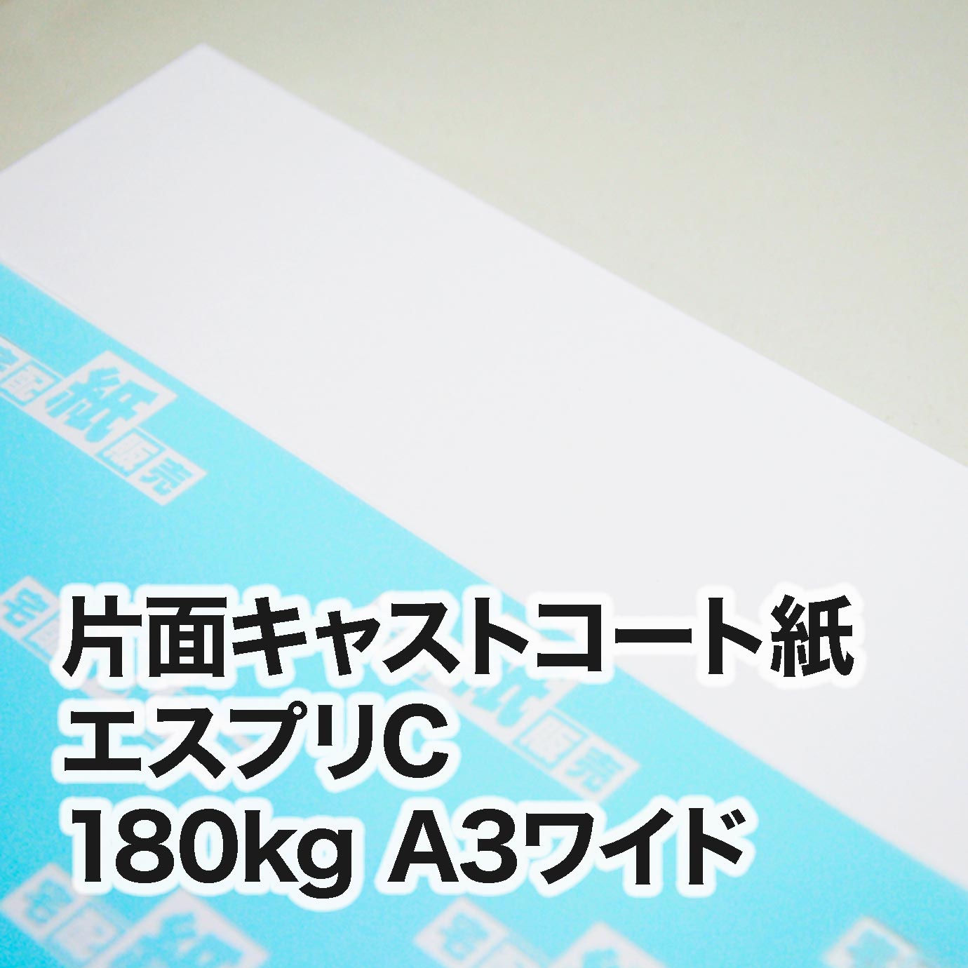 片面キャストコート エスプリC・180kg　A3ワイド（302×430mm）
