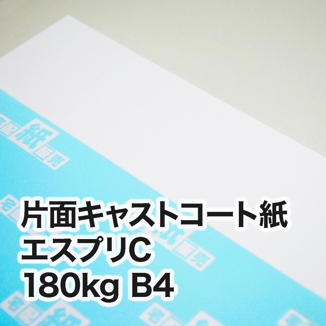 片面キャストコート エスプリC・180kg　B4（257×364mm）