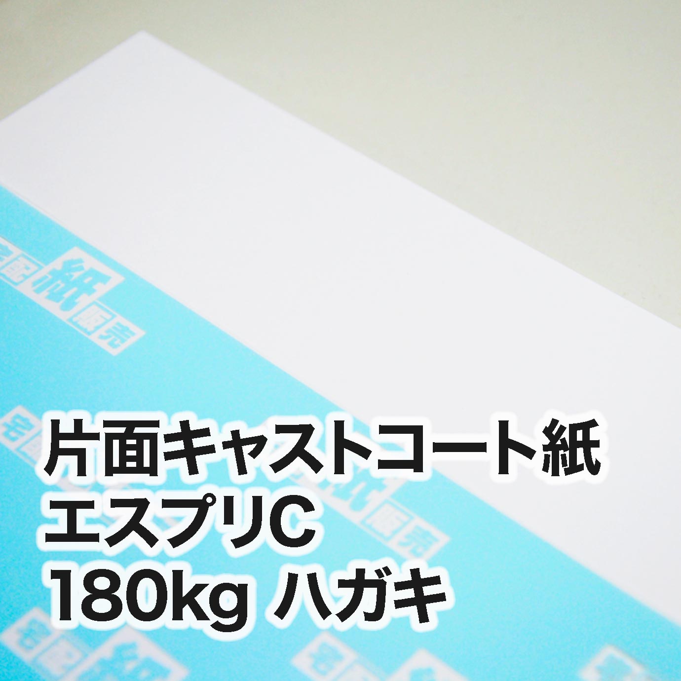 片面キャストコート エスプリC・180kg　ハガキ（100×148mm）