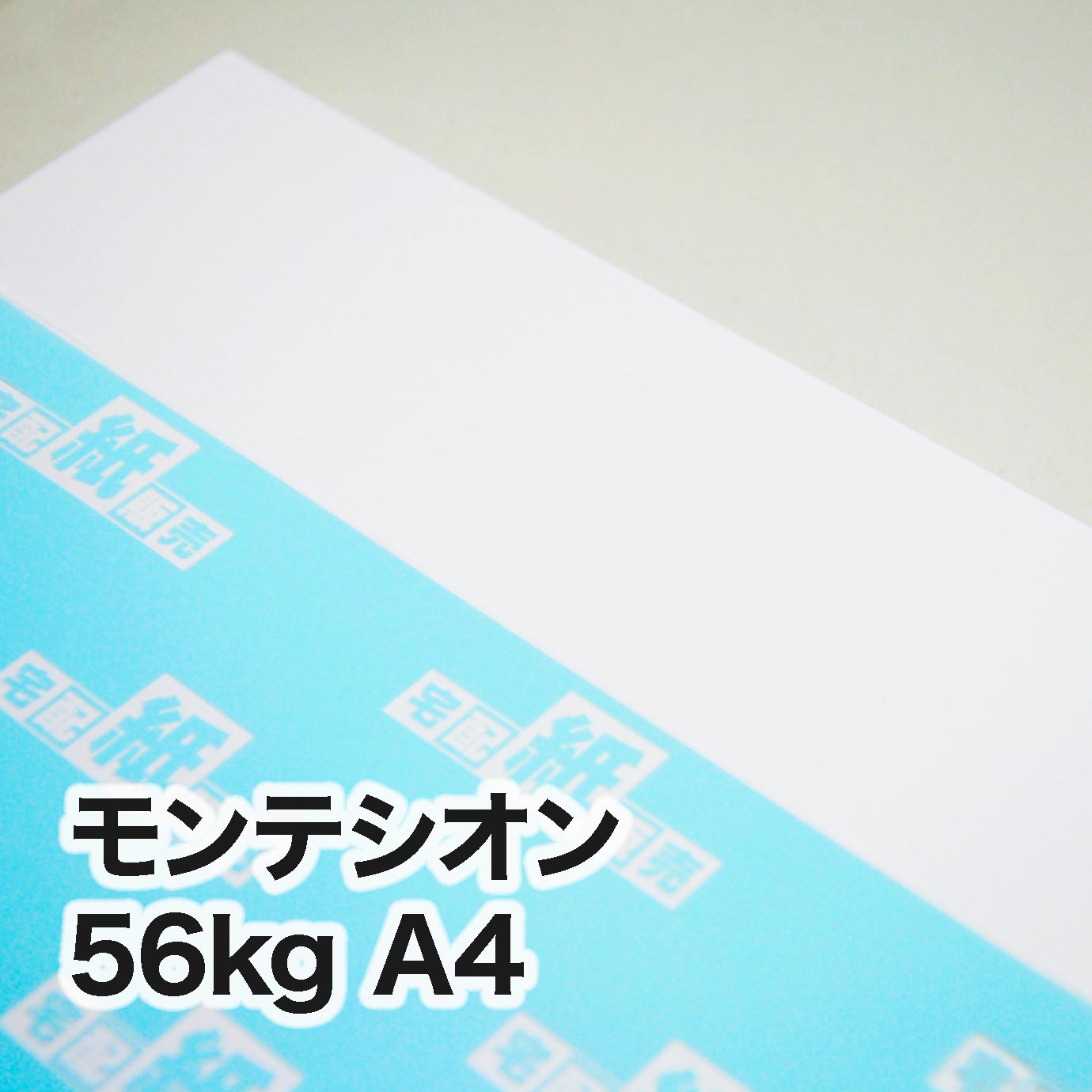 モンテシオン・56kg　A4（210×297mm）