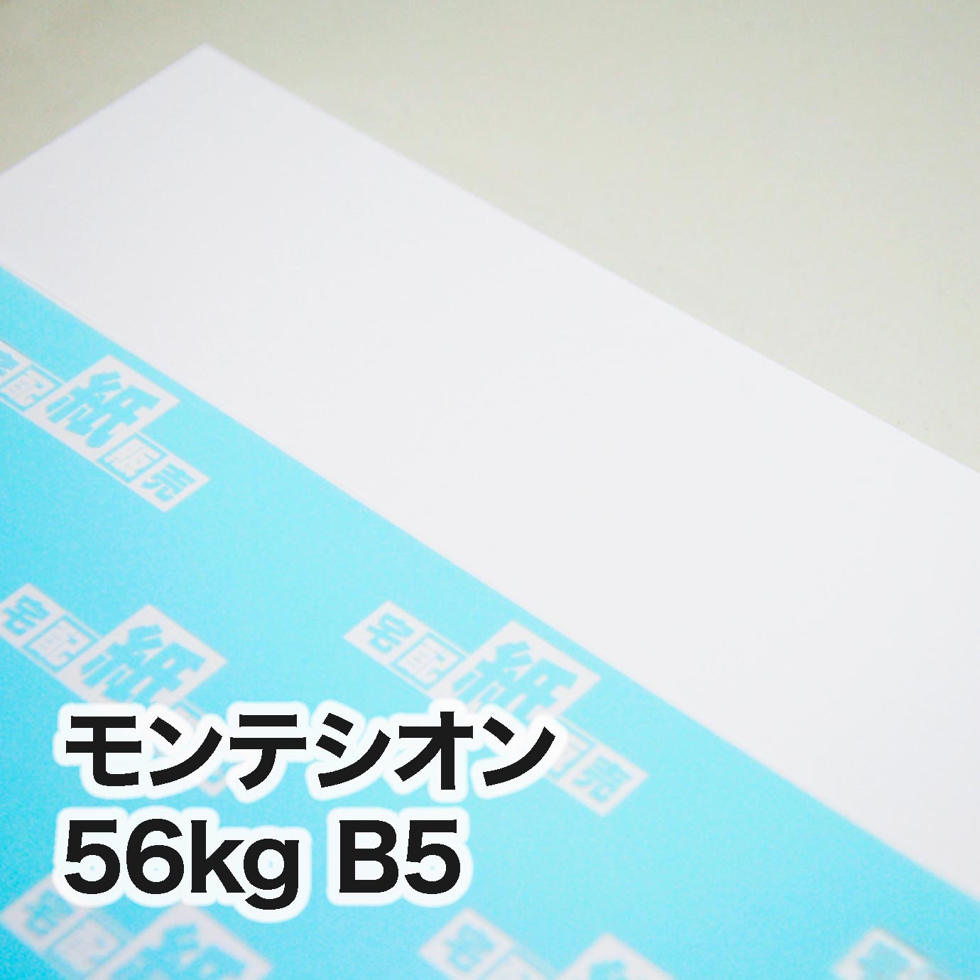 モンテシオン・56kg　B5（182×257mm）